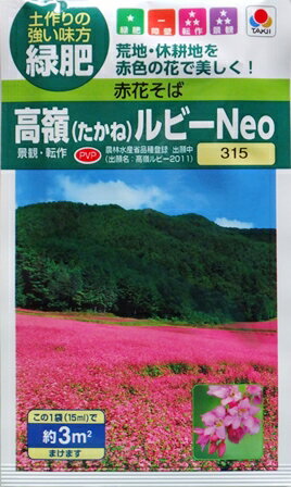 JAN 4974650159967 タキイ赤花そば 高嶺ルビーNeoの種 タキイ種苗株式会社 花・ガーデン・DIY 画像