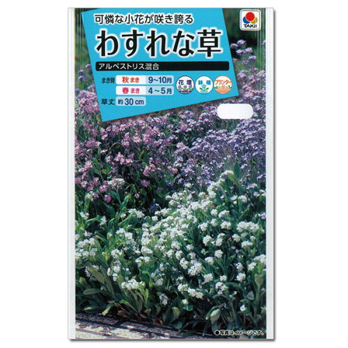 JAN 4974650295511 タキイ種苗 わすれな草アルペストリス混合 タキイ種苗株式会社 花・ガーデン・DIY 画像