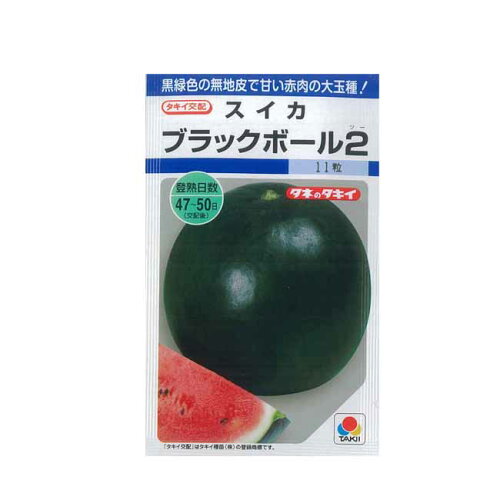 JAN 4974650579314 スイカ タキイ ブラックボール2 タキイのスイカ種です タキイ種苗株式会社 花・ガーデン・DIY 画像