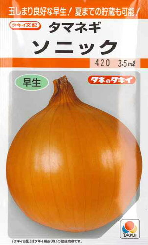 JAN 4974650670530  タマネギ ソニック タキイ交配 野菜種    タキイ種苗株式会社 花・ガーデン・DIY 画像