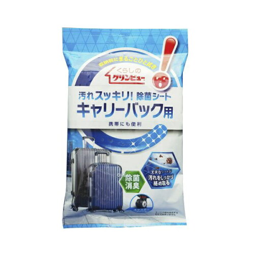 JAN 4974672298149 くらしのクリンビュー 除菌シートCバック用 10枚 株式会社イチネンケミカルズ 日用品雑貨・文房具・手芸 画像