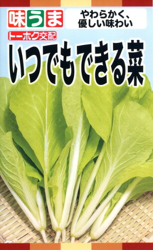 JAN 4974960013201 トーホク いつでもできる菜 山東菜 たね 01320 株式会社トーホク 花・ガーデン・DIY 画像