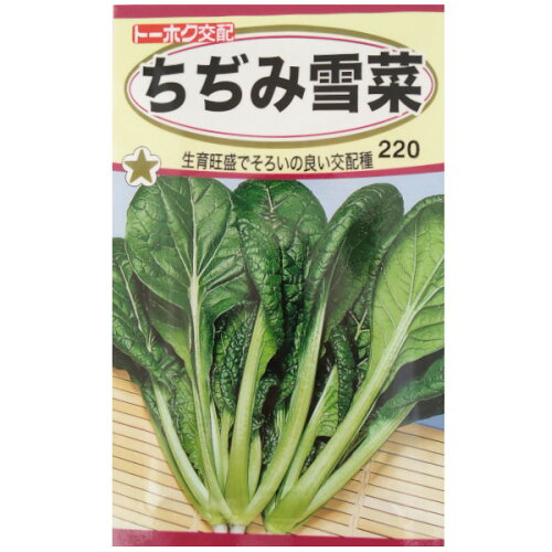 JAN 4974960050251 株式会社トーホク ちぢみ雪菜 05025 株式会社トーホク 花・ガーデン・DIY 画像