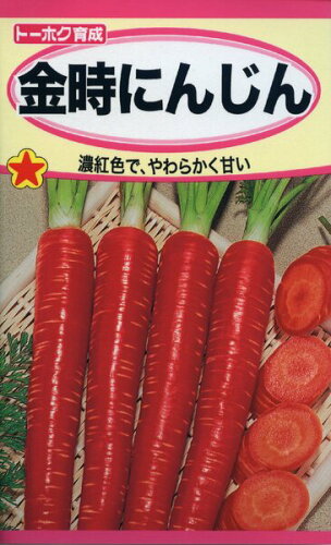 JAN 4974960071911 金時にんじんニンジン【にんじん種】 株式会社トーホク 花・ガーデン・DIY 画像