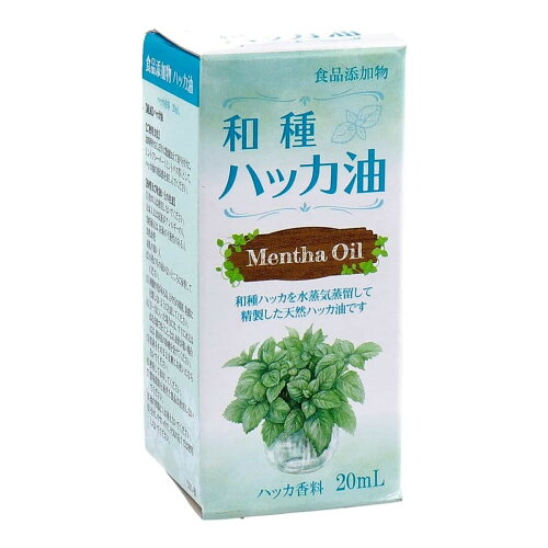 JAN 4975175021913 食添ハッカ油20ML 大洋製薬 シヨクテンハツカユ20ML 大洋製薬株式会社 美容・コスメ・香水 画像