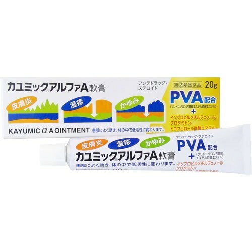 JAN 4975687020510 カユミックアルファA軟膏(20g) ノーエチ薬品株式会社 医薬品・コンタクト・介護 画像