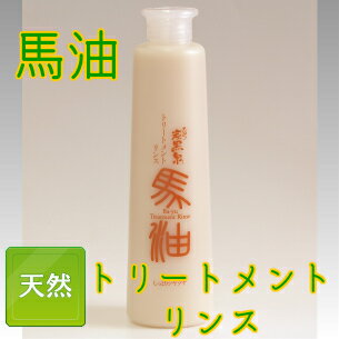 JAN 4977457002054 ひのき炭黒泉 馬油 トリートメント 株式会社不動化学 美容・コスメ・香水 画像