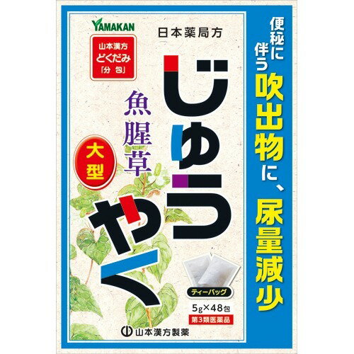 JAN 4979654027274 山本漢方 日本薬局方 ジュウヤク(5g*48包) 山本漢方製薬株式会社 医薬品・コンタクト・介護 画像