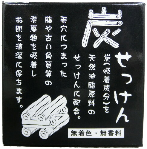 JAN 4982757911135 炭石けん(100g) 株式会社地の塩社 美容・コスメ・香水 画像