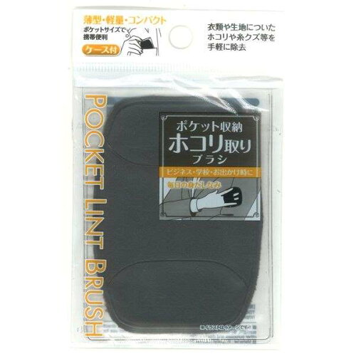 JAN 4982790353893 ホコリ取りブラシ 6．5×9．5cm ケース付 株式会社セイワ・プロ 日用品雑貨・文房具・手芸 画像