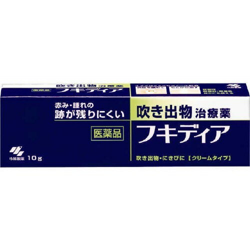 JAN 4987072071670 小林製薬 フキディア(10g) 小林製薬株式会社 医薬品・コンタクト・介護 画像