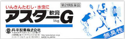 JAN 4987133003107 アスターG軟膏(16g) 丹平製薬株式会社 医薬品・コンタクト・介護 画像