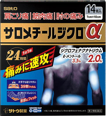 JAN 4987316094052 サロメチールジクロα 14枚 佐藤製薬株式会社 医薬品・コンタクト・介護 画像