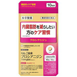 JAN 4987334737191 本草製薬 内臓脂肪を減らしたい方のケア習慣 40粒 本草製薬株式会社 ダイエット・健康 画像