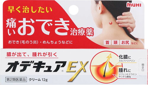 JAN 4987426002954 オデキュアEX(12g) 株式会社池田模範堂 医薬品・コンタクト・介護 画像