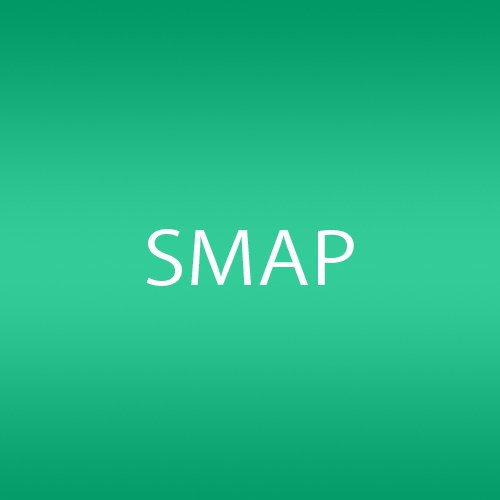 JAN 4988002437801 Smap Single Series Vol.05 アルバム SMAP-2005 株式会社JVCケンウッド・ビクターエンタテインメント CD・DVD 画像