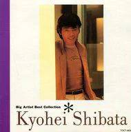 JAN 4988006118652 BIG ARTIST BEST COLLECTION 柴田恭平/CD/TOCT-8639 ユニバーサルミュージック(同) CD・DVD 画像