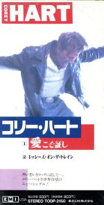 JAN 4988006641730 愛こそ証し/CDシングル（8cm）/TODP-2150 ユニバーサルミュージック(同) CD・DVD 画像