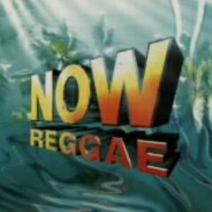 JAN 4988006719729 NOW REGGAE / オムニバス ユニバーサルミュージック(同) CD・DVD 画像