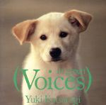 JAN 4988015019940 Voices in green/CD/BY28-20 CD・DVD 画像