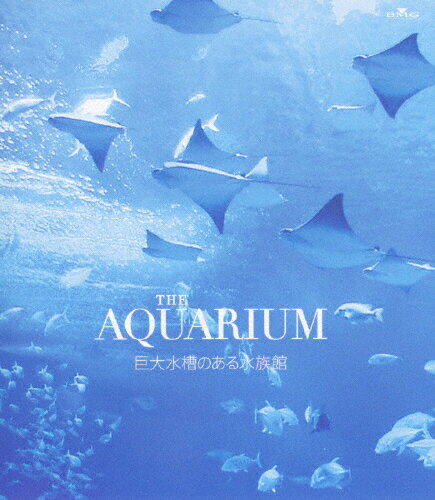 JAN 4988017210680 THE　AQUARIUM　巨大水槽のある水族館/Ｂｌｕ－ｒａｙ　Ｄｉｓｃ/BVXH-11007 株式会社ソニー・ミュージックレーベルズ CD・DVD 画像