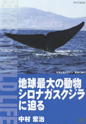 JAN 4988017224250 地球最大の動物　シロナガスクジラに迫る／中村宏治/ＤＶＤ/BVB4-31067 株式会社ソニー・ミュージックレーベルズ CD・DVD 画像