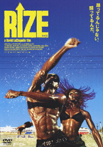 JAN 4988064229420 RIZE/ＤＶＤ/AVBF-22942 エイベックス・エンタテインメント株式会社 CD・DVD 画像