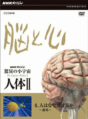 JAN 4988066162237 NHKスペシャル　驚異の小宇宙　人体II　脳と心　第4集　人はなぜ愛するか～感情～/ＤＶＤ/NSDS-12092 株式会社NHKエンタープライズ CD・DVD 画像