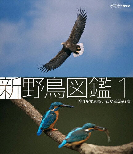 JAN 4988066163685 Blu-ray　新　野鳥図鑑　第1集　狩をする鳥／森や渓流の鳥/Ｂｌｕ－ｒａｙ　Ｄｉｓｃ/NSBS-13053 株式会社NHKエンタープライズ CD・DVD 画像