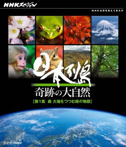 JAN 4988066175657 NHKスペシャル　日本列島　奇跡の大自然　第1集　森　大地をつつむ緑の物語/Ｂｌｕ－ｒａｙ　Ｄｉｓｃ/NSBS-15722 株式会社NHKエンタープライズ CD・DVD 画像