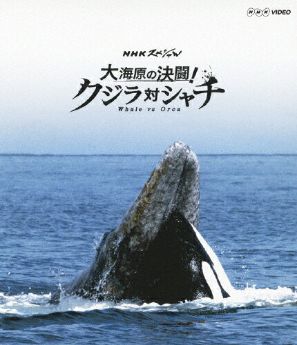 JAN 4988066192975 NHKスペシャル　大海原の決闘！　クジラ対シャチ/Ｂｌｕ－ｒａｙ　Ｄｉｓｃ/NSBS-18284 株式会社NHKエンタープライズ CD・DVD 画像