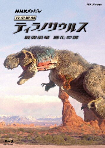 JAN 4988066219177 NHKスペシャル　完全解剖ティラノサウルス　～最強恐竜　進化の謎～/Ｂｌｕ－ｒａｙ　Ｄｉｓｃ/NSBS-22057 株式会社NHKエンタープライズ CD・DVD 画像