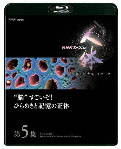 JAN 4988066224676 NHKスペシャル　人体　神秘の巨大ネットワーク　第5集　“脳”すごいぞ！ひらめきと記憶の正体/Ｂｌｕ－ｒａｙ　Ｄｉｓｃ/NSBS-22977 株式会社NHKエンタープライズ CD・DVD 画像