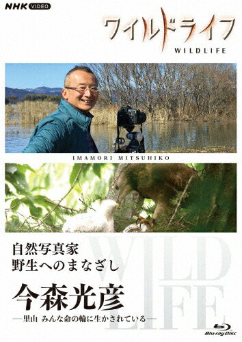 JAN 4988066240577 ワイルドライフ　自然写真家　野生へのまなざし　今森光彦/Ｂｌｕ−ｒａｙ　Ｄｉｓｃ/NSBS-25611 株式会社NHKエンタープライズ CD・DVD 画像