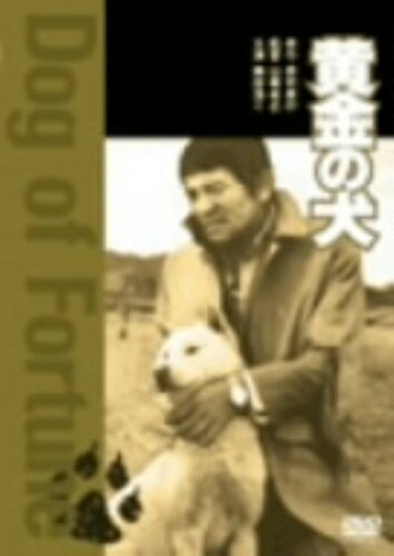 JAN 4988111280329 黄金の犬/ＤＶＤ/DABY-32 株式会社KADOKAWA CD・DVD 画像