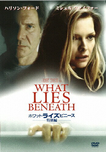 JAN 4988142630421 ホワット・ライズ・ビニース ＜特別編＞/DVD/FXBSE-20021 ウォルト・ディズニー・ジャパン株式会社 CD・DVD 画像