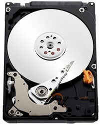 JAN 4988755003629 WESTERN DIGITAL WD5000BPVT シー・エフ・デー販売株式会社 パソコン・周辺機器 画像