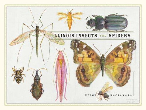 ISBN 9780226501000 Illinois Insects and Spiders/UNIV OF CHICAGO PR/Peggy MacNamara 本・雑誌・コミック 画像