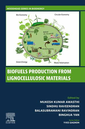 ISBN 9780443160523 Biofuels Production from Lignocellulosic Materials 本・雑誌・コミック 画像