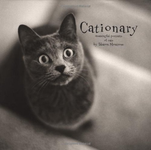 ISBN 9780670030590 Cationary: Meaningful Portraits of Cats / Sharon Montrose 本・雑誌・コミック 画像