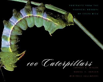 ISBN 9780674021907 100 Caterpillars: Portraits from the Tropical Forests of Costa Rica/HARVARD UNIV PR/Jeffrey C. Miller 本・雑誌・コミック 画像