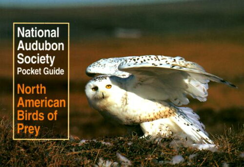 ISBN 9780679749233 National Audubon Society Pocket Guide to North American Birds of Prey/ALFRED A KNOPF/Richard K. Walton 本・雑誌・コミック 画像