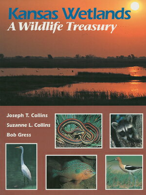 ISBN 9780700606351 Kansas Wetlands: A Wildlife Treasury/REGENTS PR OF KANSAS/Joseph T. Collins 本・雑誌・コミック 画像