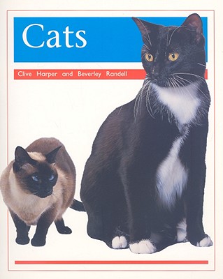 ISBN 9780763519773 Pets: Cats: Individual Student Edition Orange (Levels 15-16)/RIGBY/Rigby 本・雑誌・コミック 画像