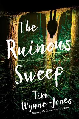 ISBN 9780763697457 The Ruinous Sweep/CANDLEWICK BOOKS/Tim Wynne-Jones 本・雑誌・コミック 画像