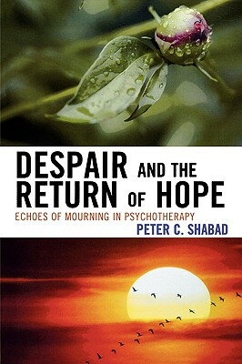 ISBN 9780765705815 Despair and the Return of Hope: Echoes of Mourning in Psychotherapy/JASON ARONSON INC/Peter C. Shabad 本・雑誌・コミック 画像