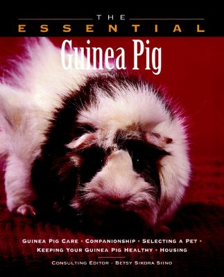 ISBN 9780876053300 The Essential Guinea Pig/HOWELL BOOK HOUSE INC/Betsy Sikora Siino 本・雑誌・コミック 画像