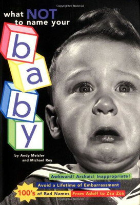 ISBN 9780898158144 What Not to Name Your Baby/Andy Meisler 本・雑誌・コミック 画像