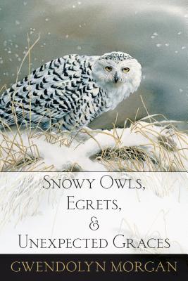 ISBN 9780997592702 Snowy Owls, Egrets, and Unexpected Graces/HOMEBOUND PUBN/Gwendolyn Morgan 本・雑誌・コミック 画像