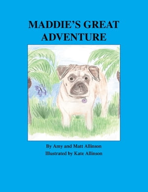 ISBN 9781412068055 Maddie's Great Adventure Amy Allinson 本・雑誌・コミック 画像